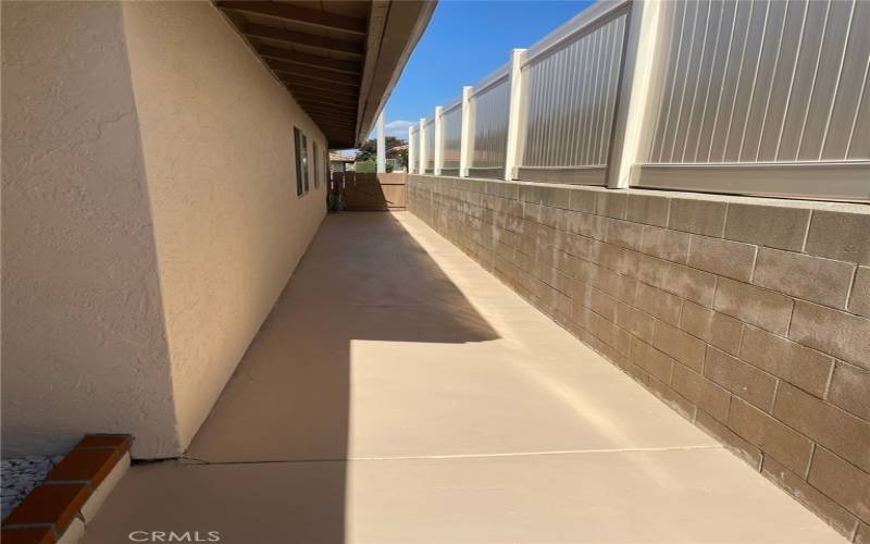 side walkway of house