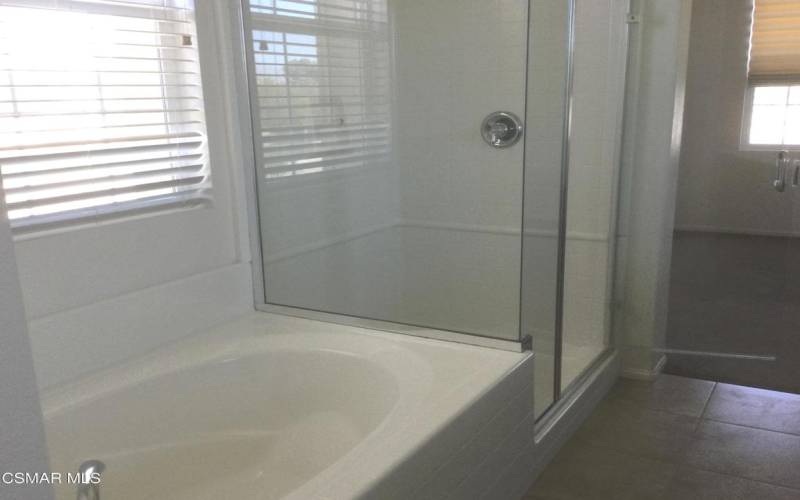 Master bath tub shower 1