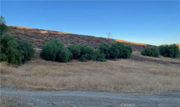 0 McBurney, Lake Elsinore, California 92530, ,Land,Buy,0 McBurney,IV24250582