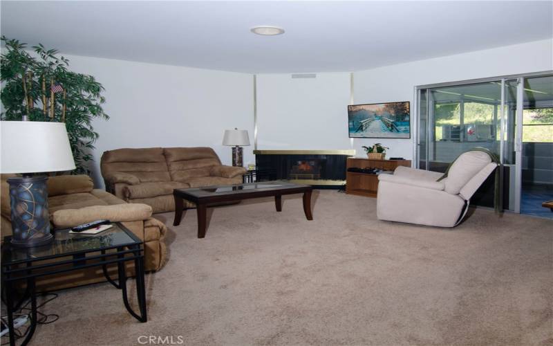 Living area with fireplace