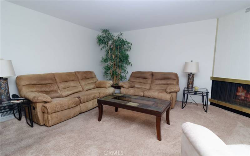 Living area and fireplace