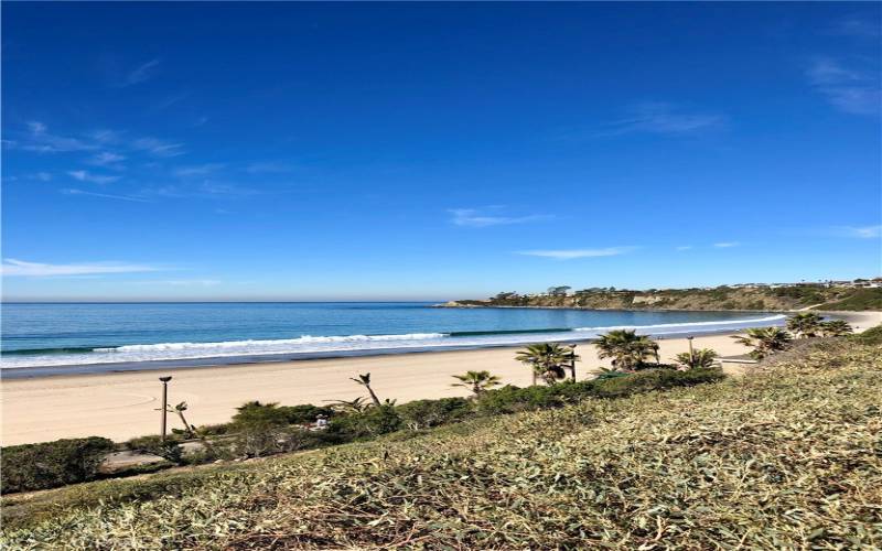 Walk with your beach chairs to enjoy Salt Creek Beach!