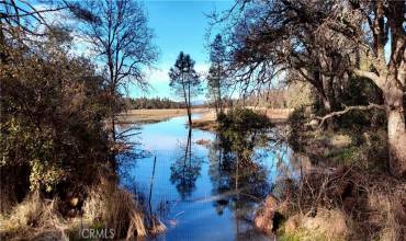 15151 Gray Pine Road, Lower Lake, California 95457, ,Land,Buy,15151 Gray Pine Road,LC24251681