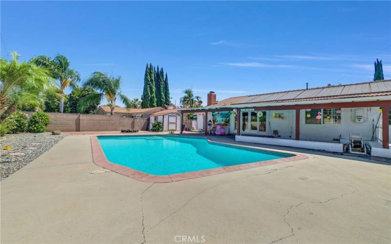 Backyard pool