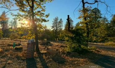 5711 Chaney Lane, Paradise, California 95969, ,Land,Buy,5711 Chaney Lane,SN24250706