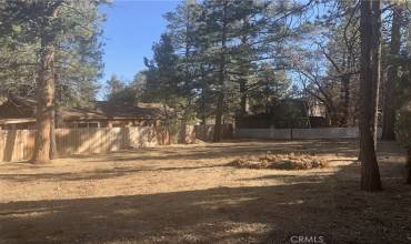 0 Leonard Lane, Sugarloaf, California 92386, ,Land,Buy,0 Leonard Lane,IG24251034