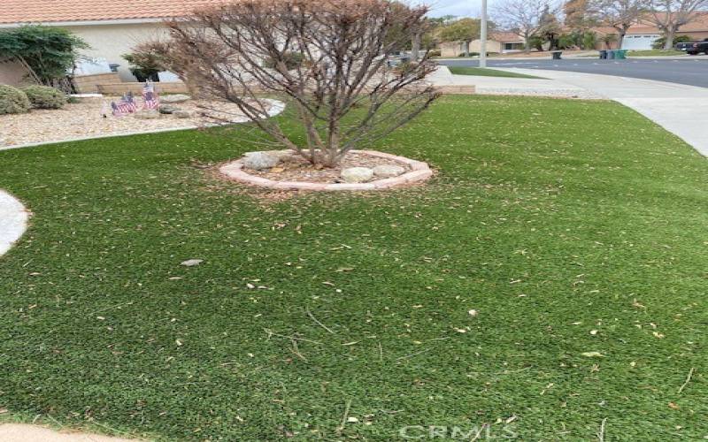 Artificial turf in front yard