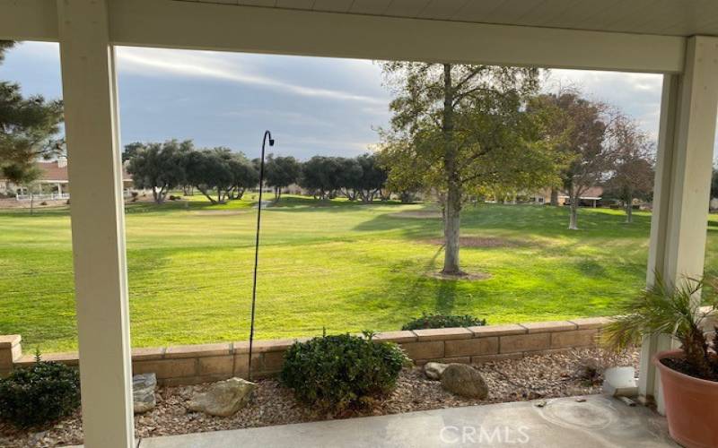 View from back patio to golf course