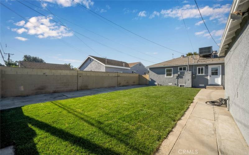 Backyard with New Sod.