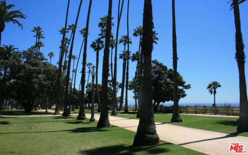 Palisades Park on Ocean Ave with bike path