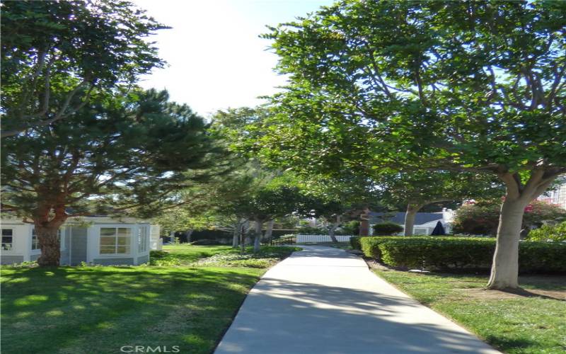 Lush green walkways throughout the community.