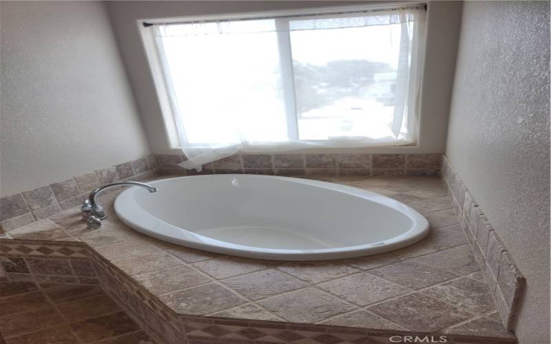 Master bath soaking tub