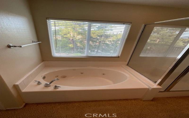 Master bedroom tub-window