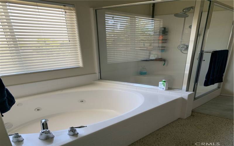 Master BR tub and shower