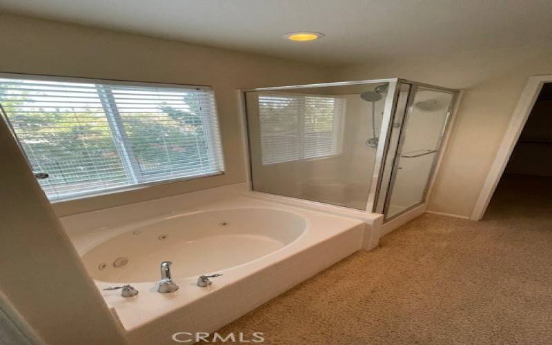 Master bedroom tub and walk-in shower