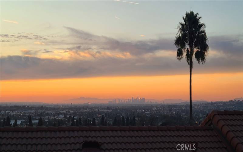 Is anything more quintessentially Californian than the LA skyline and palm trees.