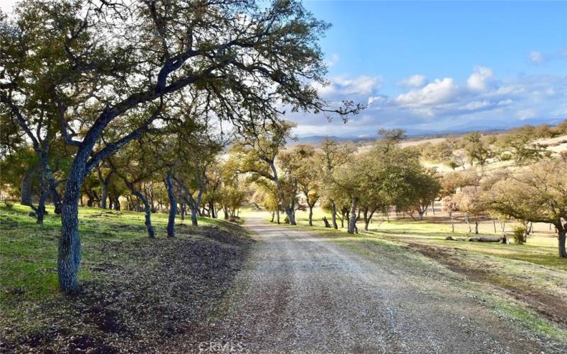 All-Weather Driveway