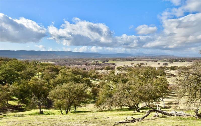 San Antonio Valley Views