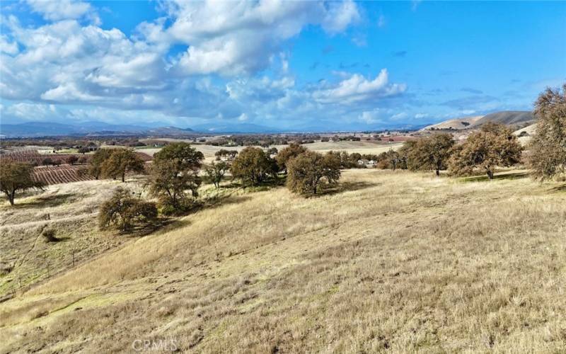 Open, Rolling Grassland