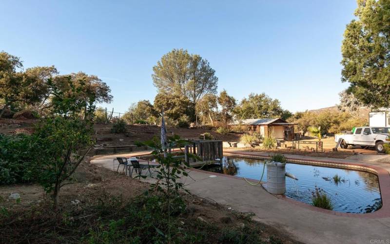 Pool was converted to a working pond with fish, etc.