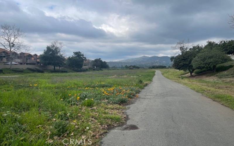 One of many Hiking trails