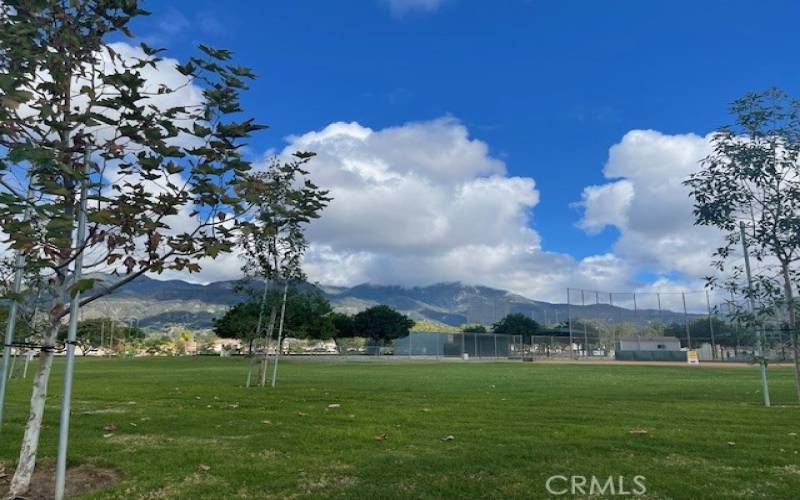 Soccer fields and Baseball fields