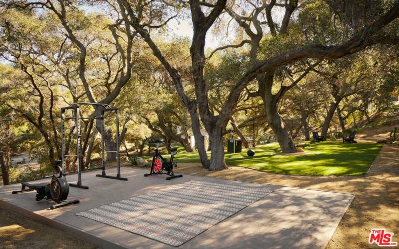 Outdoor Gym