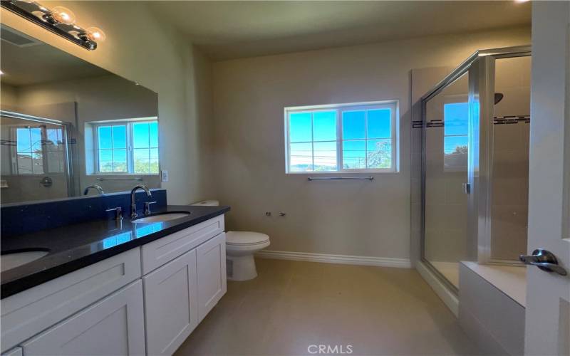 primary suite - bathroom