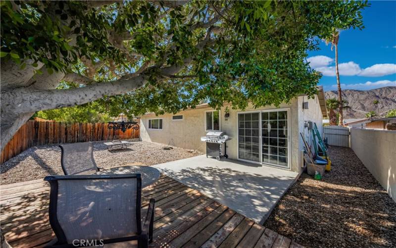 Backyard with a wonderful shade tree and blue skies.