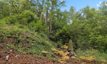 0 Hillside Drive, Boulder Creek, California 95006, ,Land,Buy,0 Hillside Drive,ML81988839