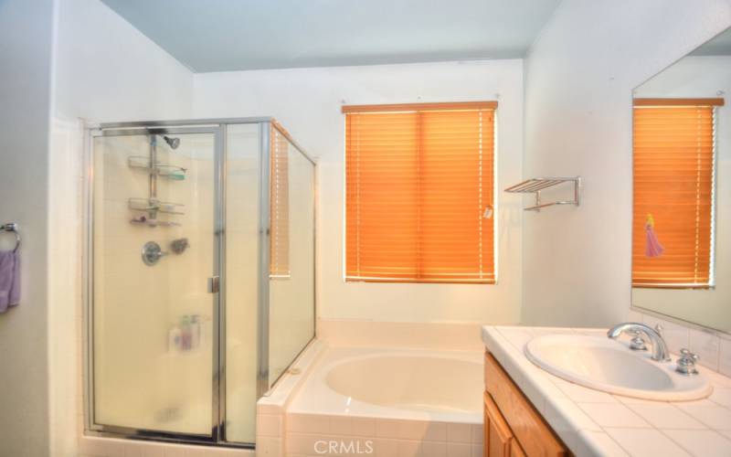 Master Bath view of Walk in Shower, Bath Tub, and Sink