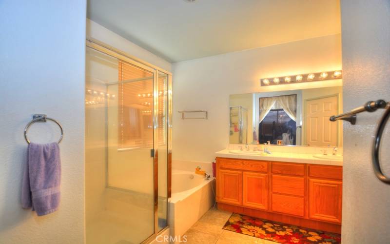 Master Bath view of Walk in Shower, Double Sink, and Bath Tub.