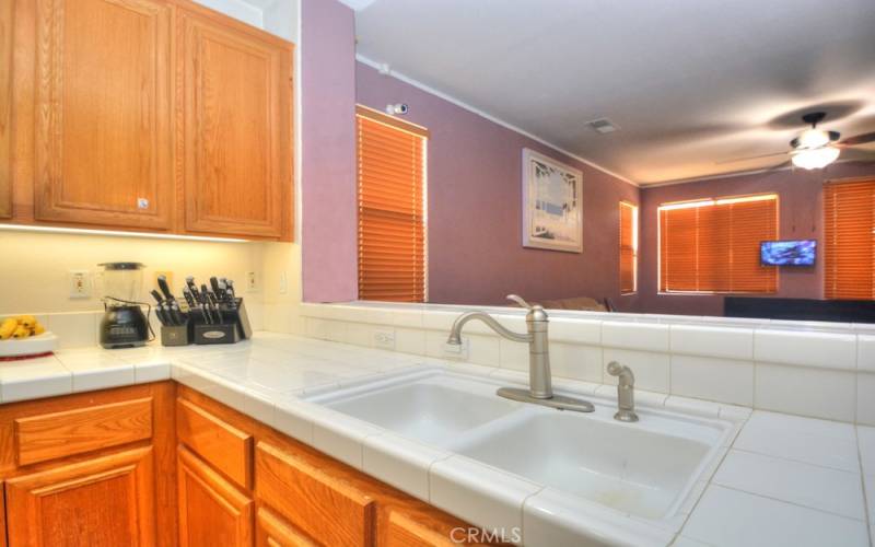 Kitchen Double Sink with Delta Faucet with Pull out Sprayer, and Flourescent Under-Cabinet Task Lighting