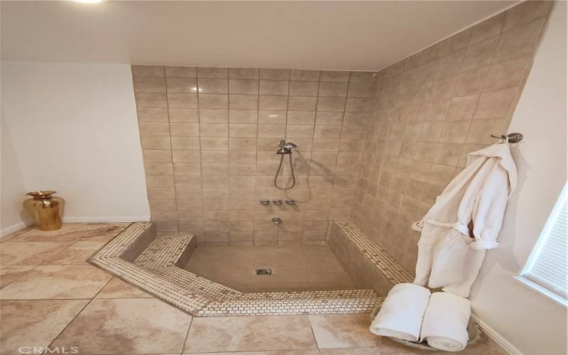 Roman Bath tub /shower in guest bathroom