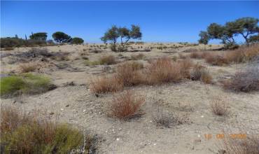 492 Rambling Lane, Aguanga, California 92536, ,Land,Buy,492 Rambling Lane,SW24252533