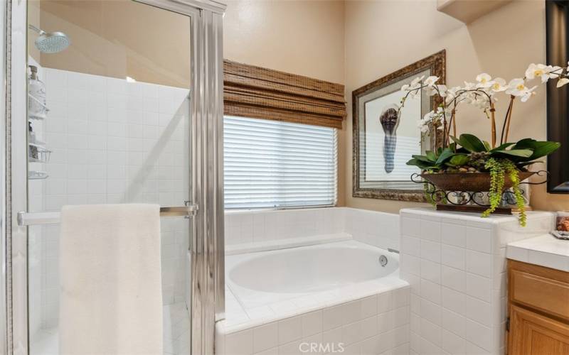 Primary bath with shower & separate bathtub