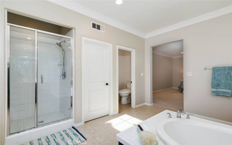 Bathtub & walk-in shower