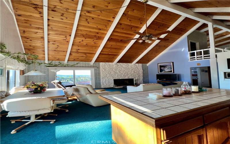 Family Room and Kitchen Island