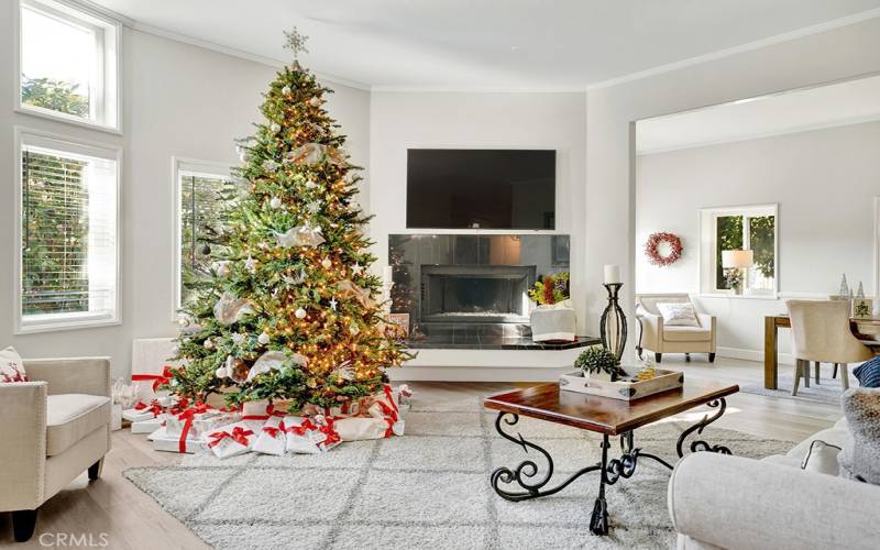 Family Room off the front entry with fireplace.