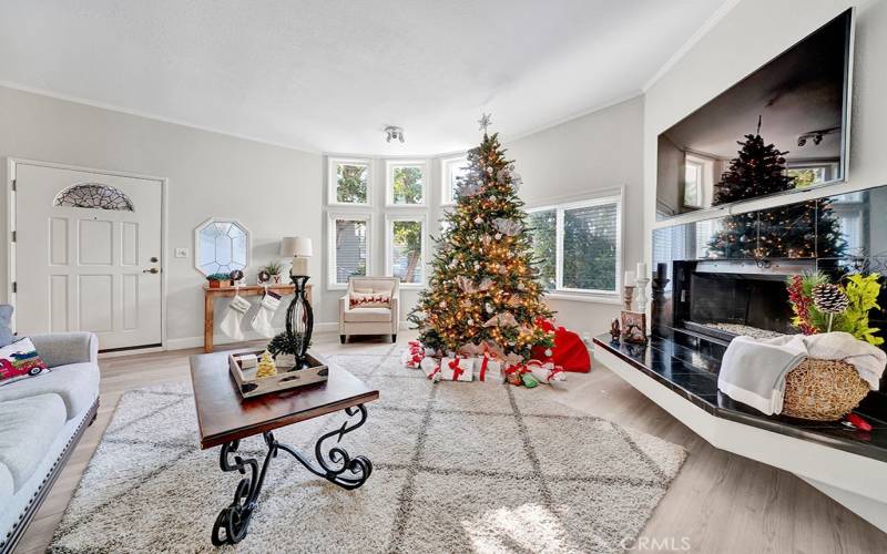 Family room - front door on far wall.