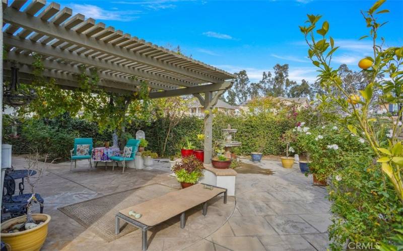 Backyard Patio