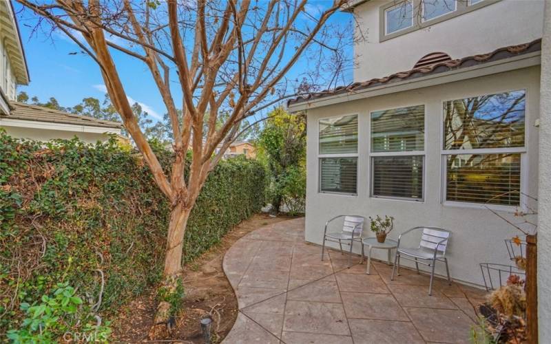 Backyard Patio