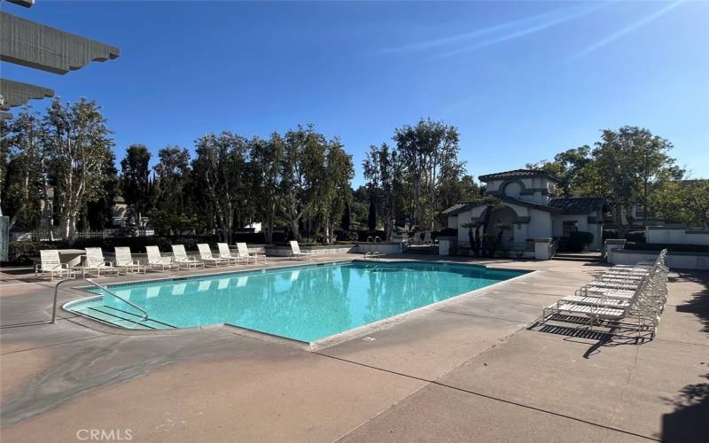 Association Pool Area