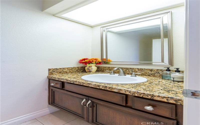 Guest Bathroom downstairs