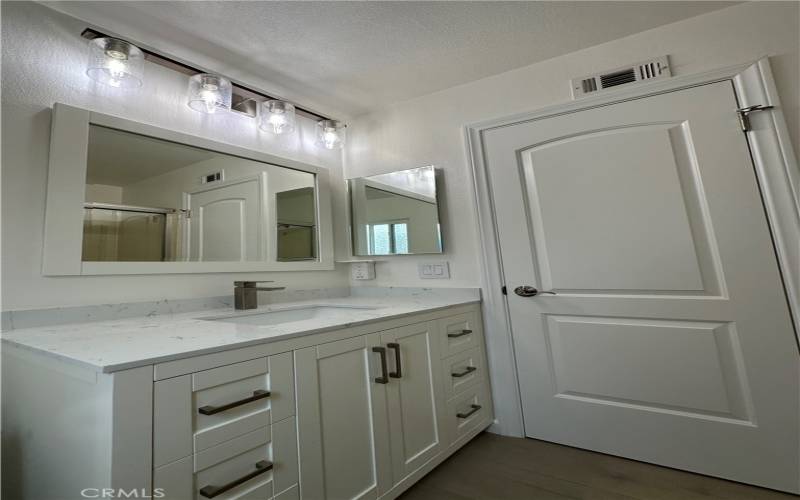 Master bathroom w/sink and vanity