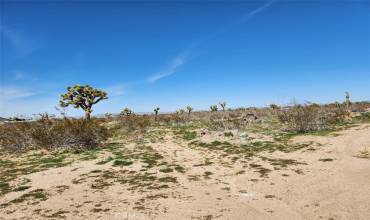 0 Pacific, Phelan, California 92371, ,Land,Buy,0 Pacific,HD24252876