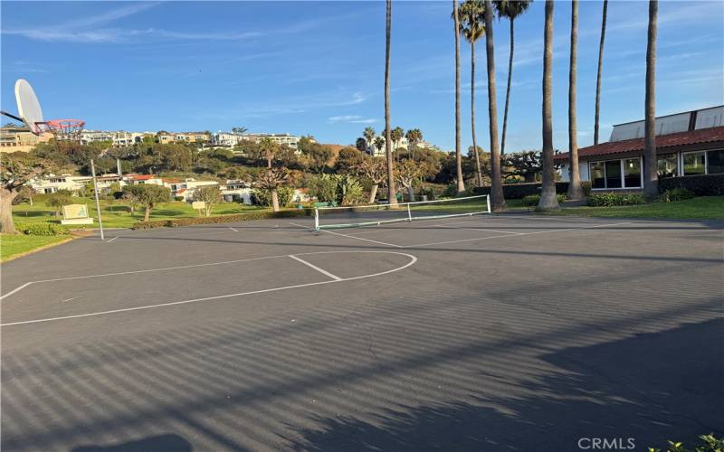 Pickle ball court and basketball court