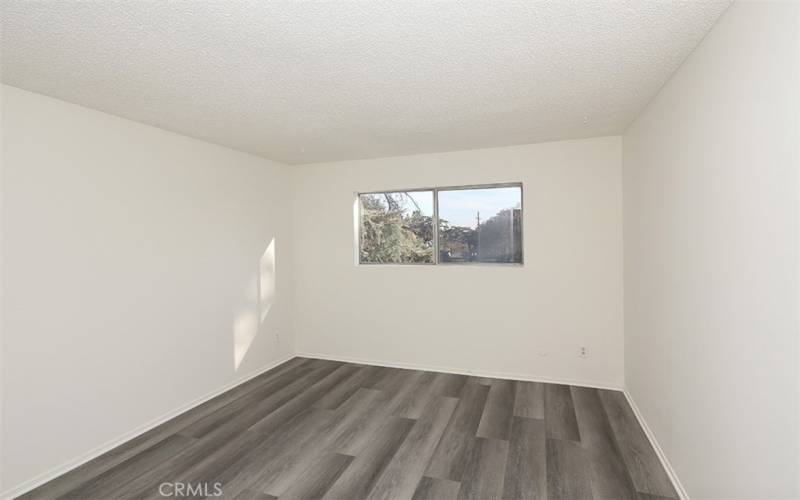 Bedroom window with tree view.