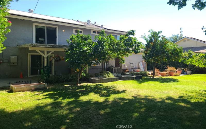 Backyard with fruit Trees