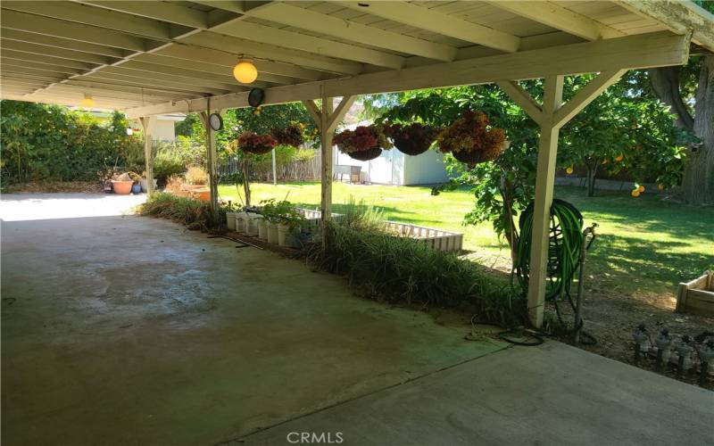 Backyard Covered Patio